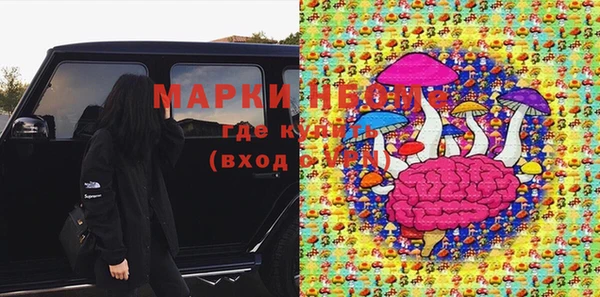 хмурый Аркадак