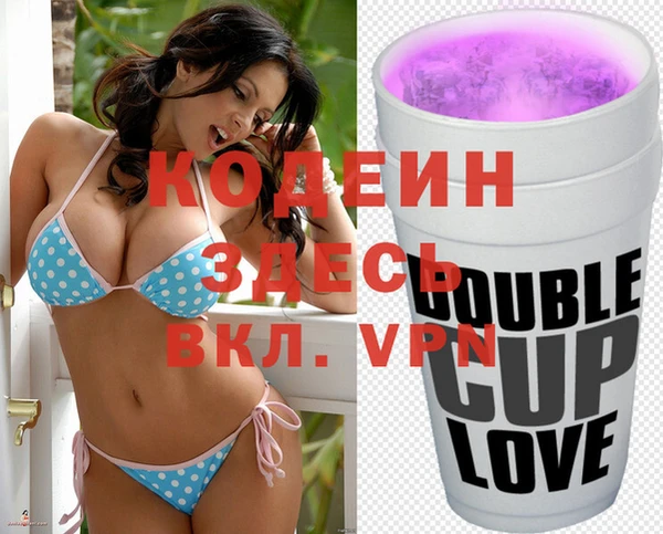 хмурый Аркадак