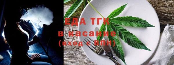 хмурый Аркадак