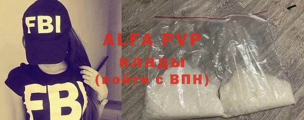 хмурый Аркадак