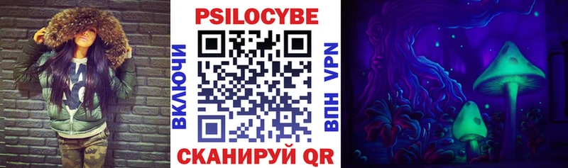 Купить закладки  Богучар  Псилоцибиновые грибы GOLDEN TEACHER 